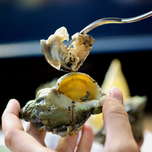Whelk in Shell 加拿大野生翡翠螺(带壳) 大尺寸 8只装 总重约1磅
