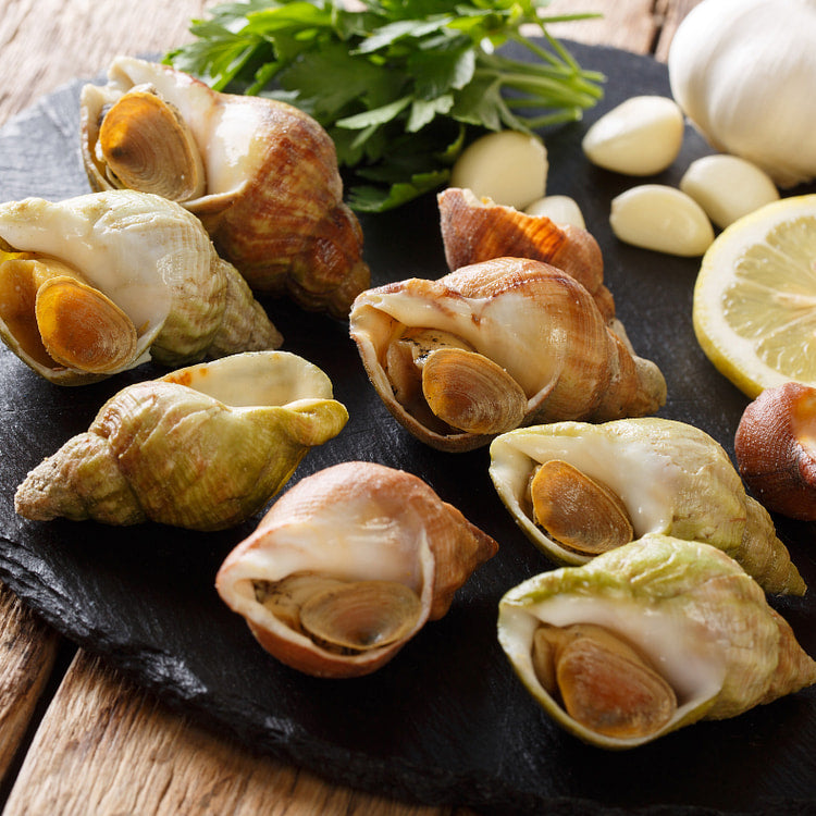 Whelk in Shell 加拿大野生翡翠螺(带壳) 大尺寸 8只装 总重约1磅