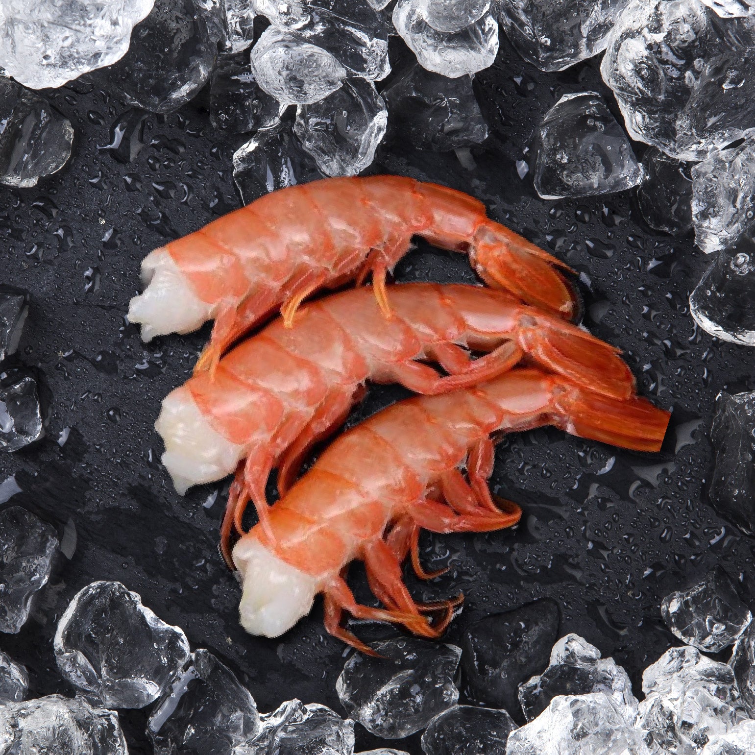 Wild Argentine Red Shrimp野生阿根廷大红虾 8 12 400g Beefu Ca