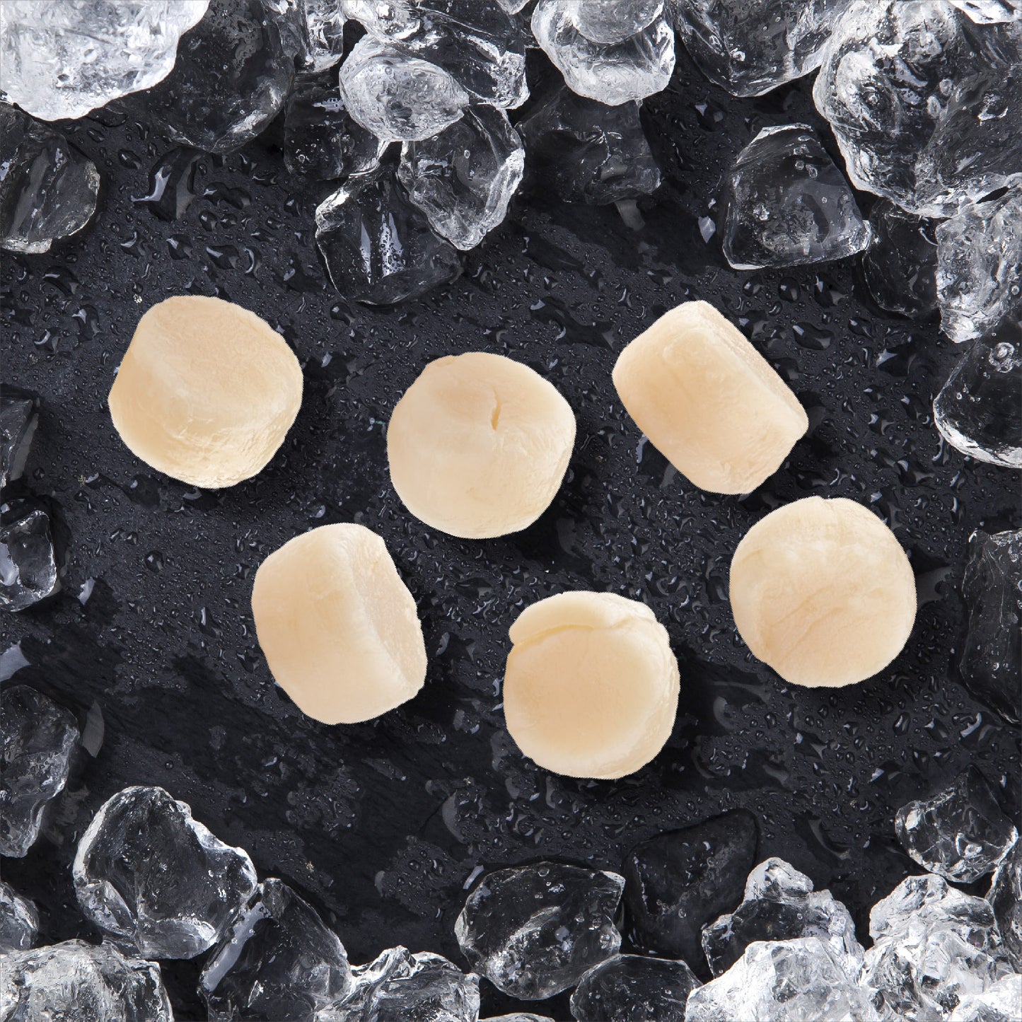 Sashimi Grade Giant Scallop 日本刺身大带子 4个