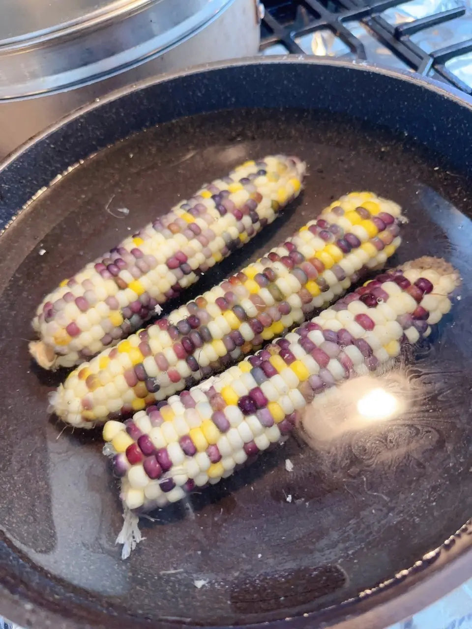 加拿大本地纯天然五彩糯玉米 3pc【每单限购5份】