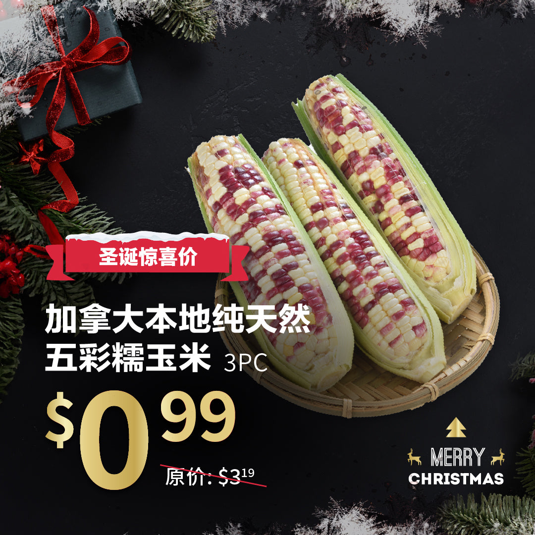 加拿大本地纯天然五彩糯玉米 3pc【每单限购5份】