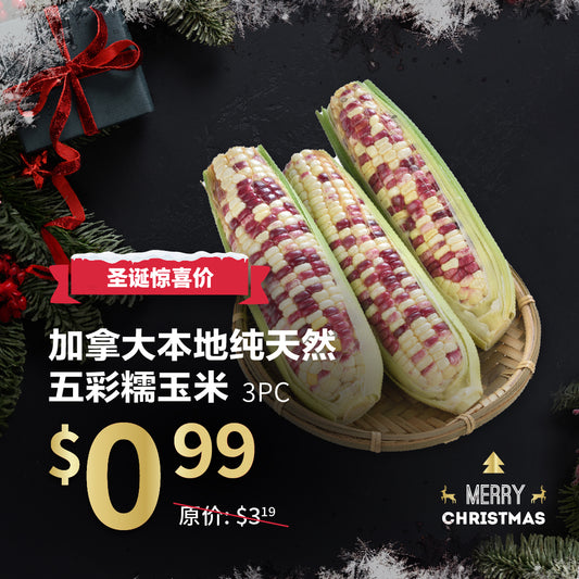 加拿大本地纯天然五彩糯玉米 3pc【每单限购5份】