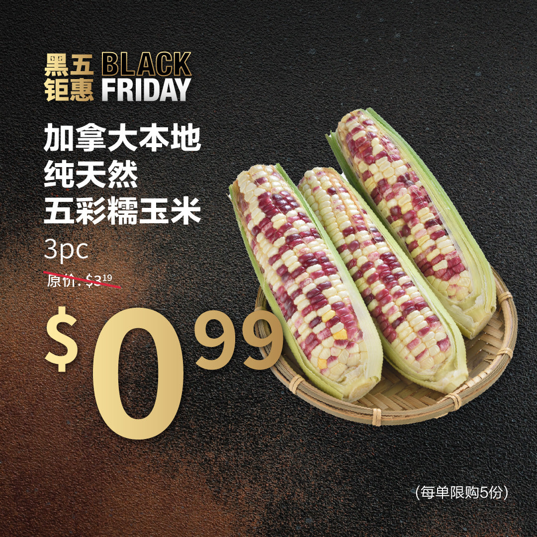 加拿大本地纯天然五彩糯玉米 3pc【每单限购5份】