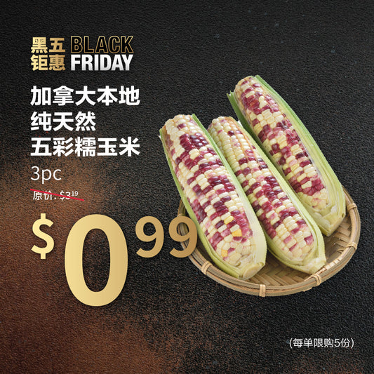 加拿大本地纯天然五彩糯玉米 3pc【每单限购5份】