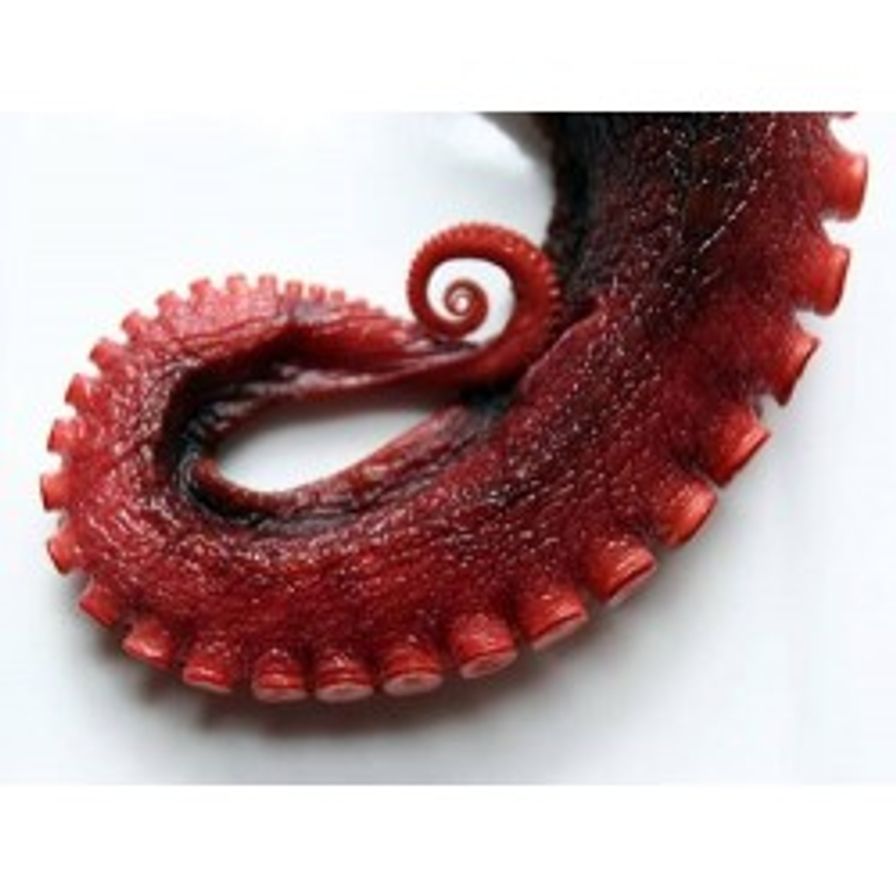 Sashimi Tako Legs 章鱼腿刺身 1 leg