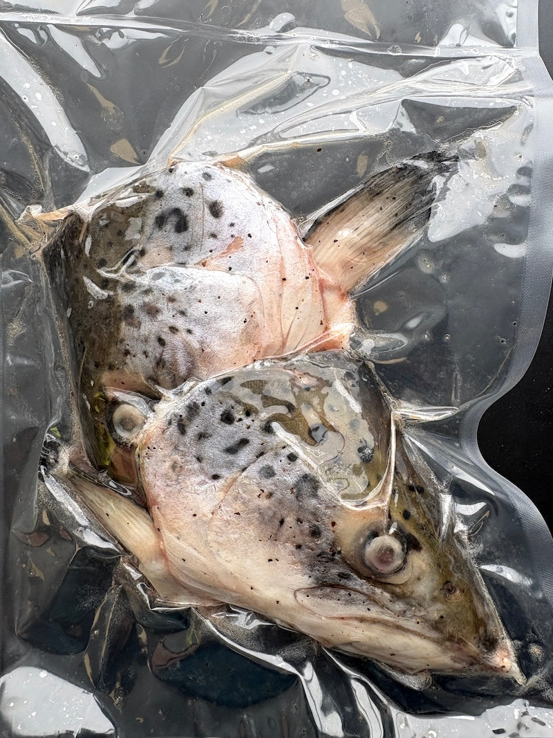 ⚡️限时闪购⚡️Marinated Salmon Head For Grill 日式腌制烤三文鱼头
