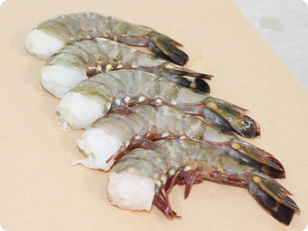 ⚡️限时闪购⚡️XXL Black Tigers Shrimp 超大黑老虎虾 8/12 1lb